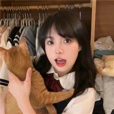 不汗党